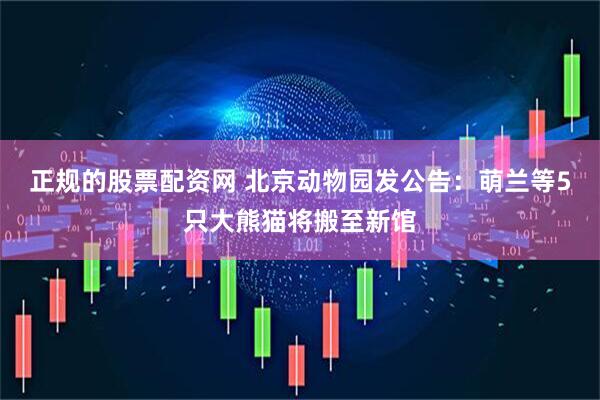 正规的股票配资网 北京动物园发公告：萌兰等5只大熊猫将搬至新馆