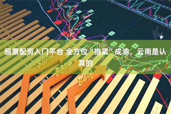 股票配资入门平台 全方位“抱紧”成渝，云南是认真的